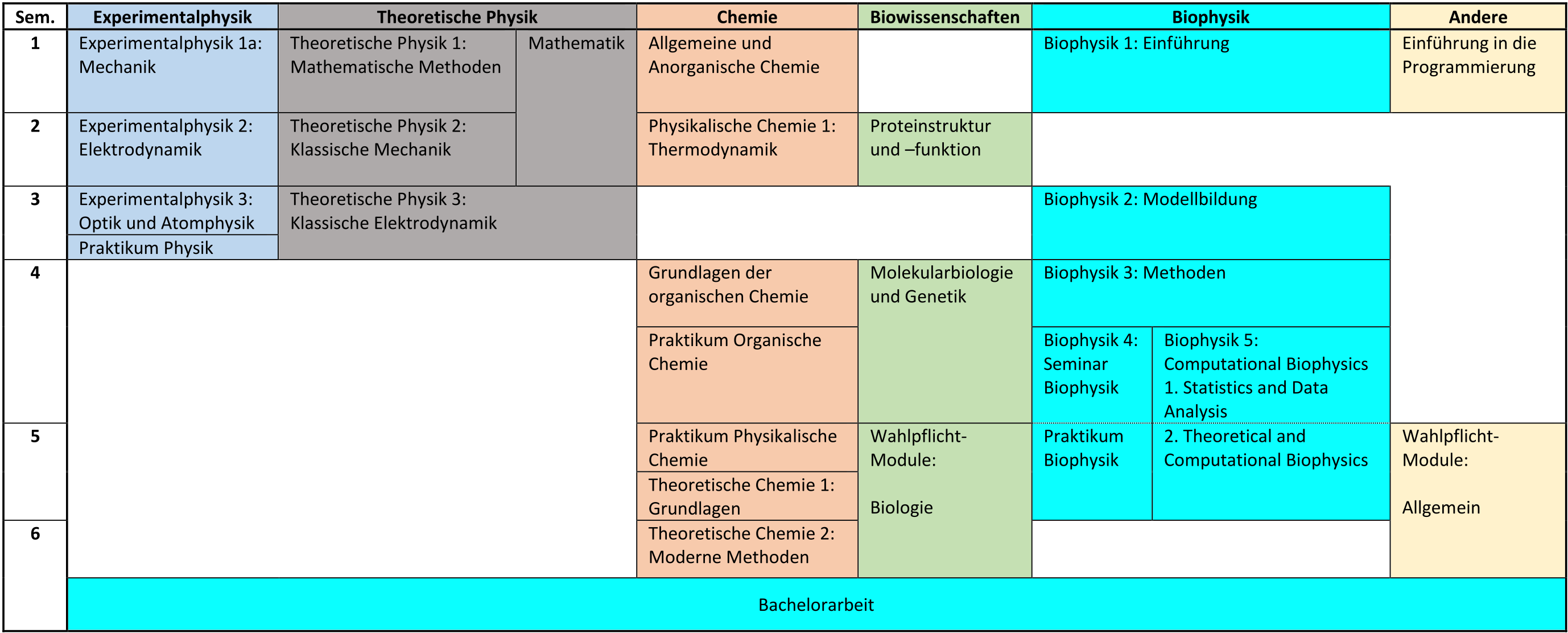_images/grafischer_studienplan.png